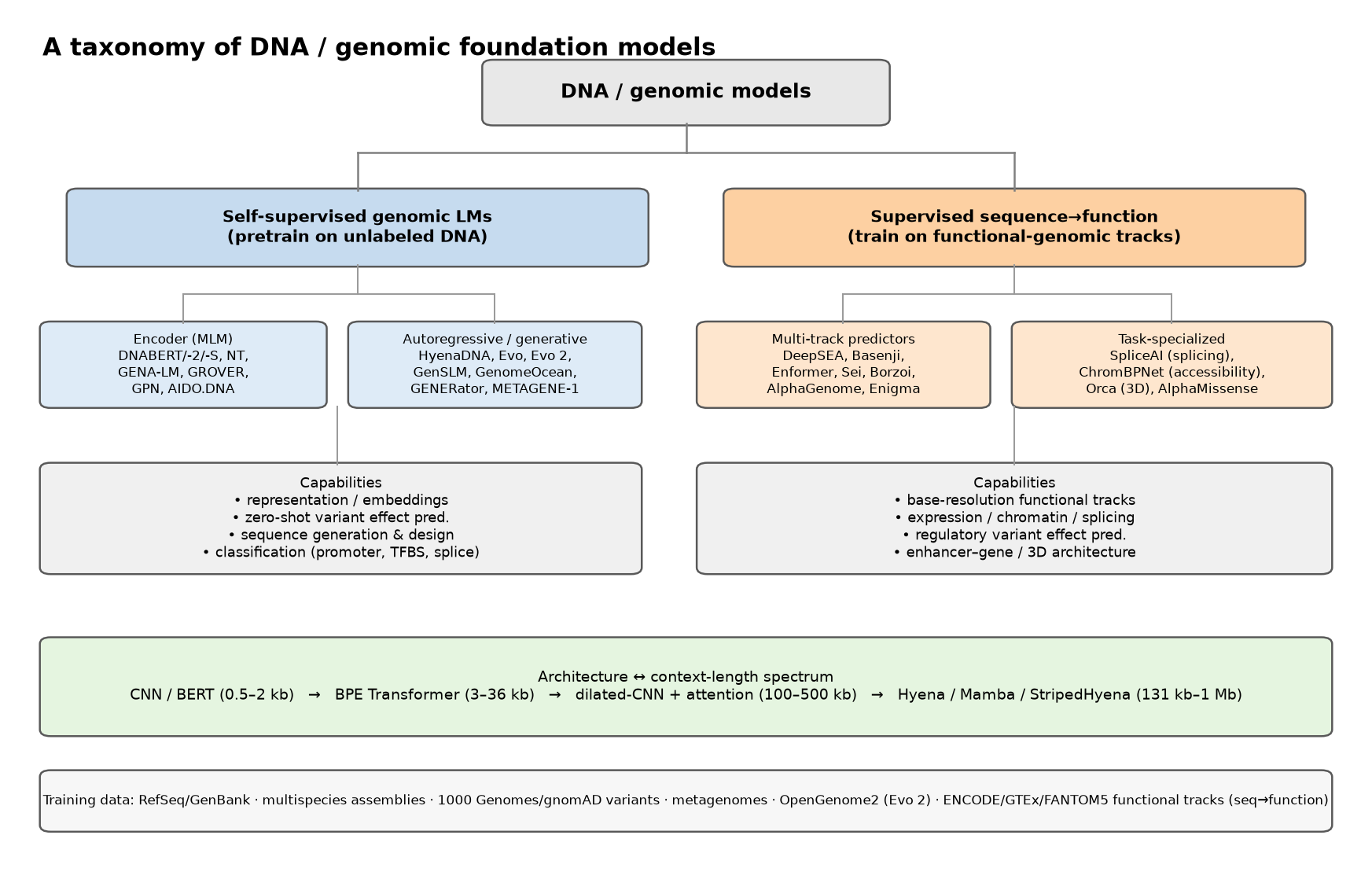 Taxonomy of genomic language models and sequence-to-function models.