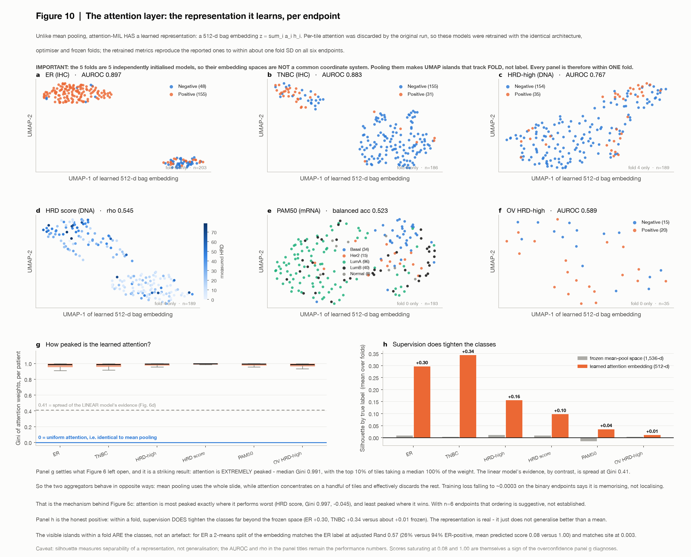The attention layer: learned bag embeddings, weight concentration, and cluster tightening.