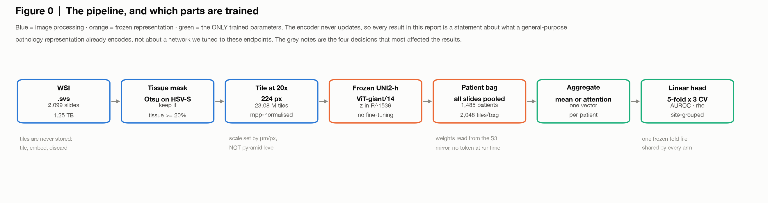 Whole-slide pipeline; only the aggregator and linear head contain trained parameters.