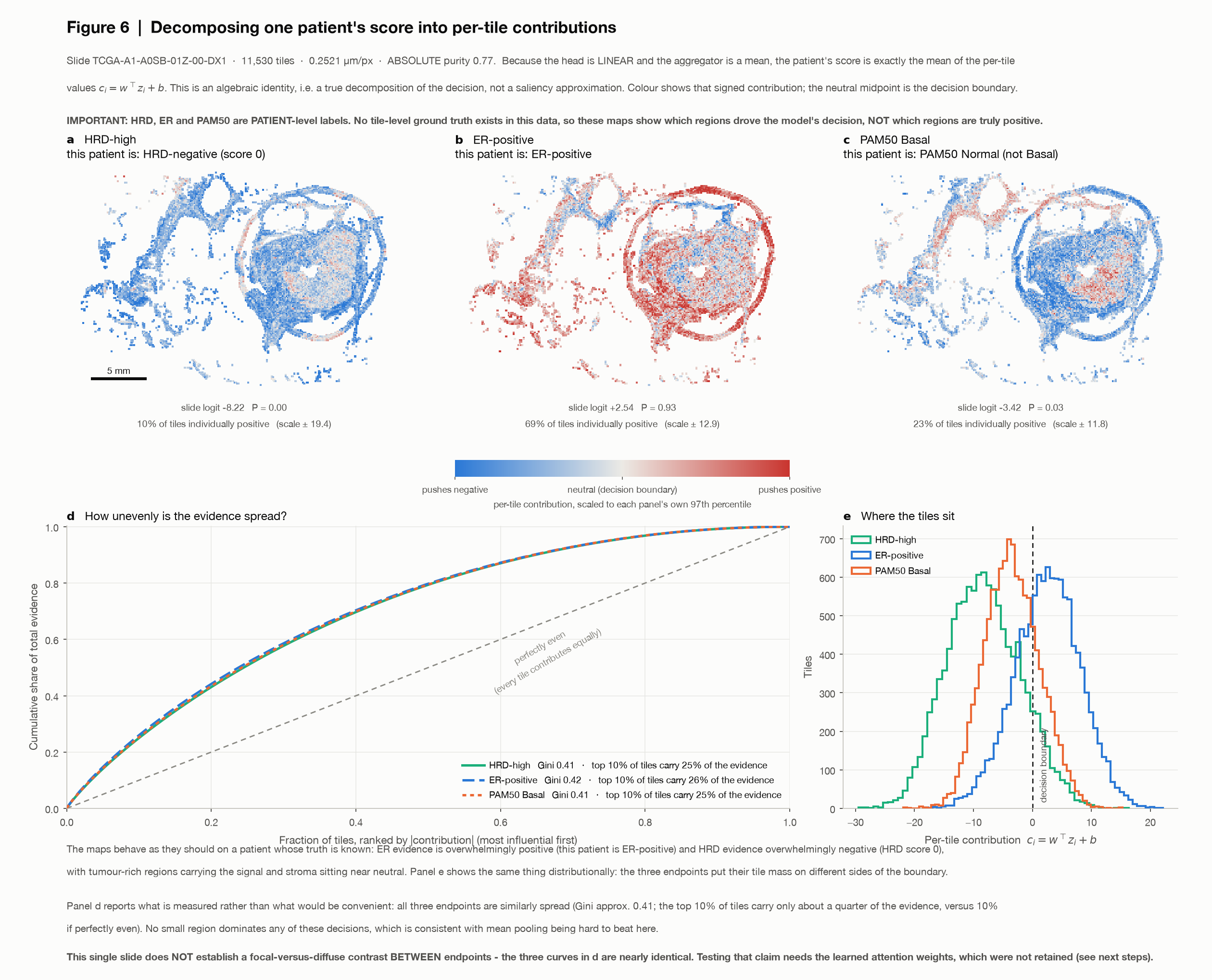 Per-tile contributions for one patient across three endpoints, and their concentration.