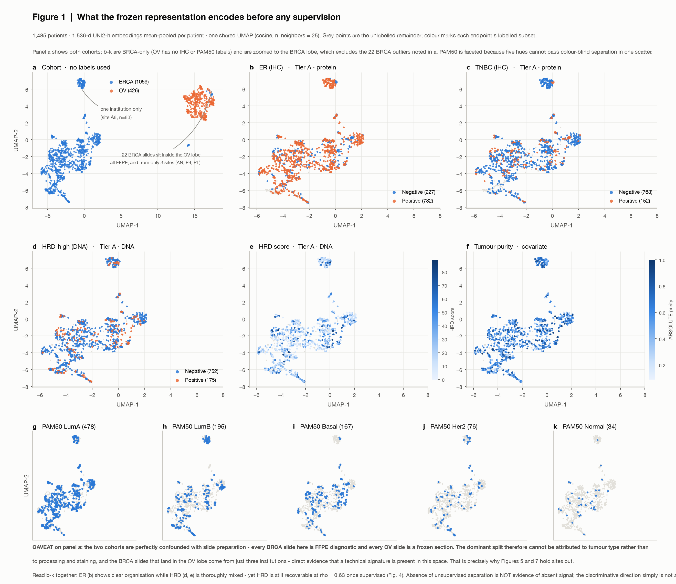 UMAP of 1,485 patient embeddings, one panel per endpoint.