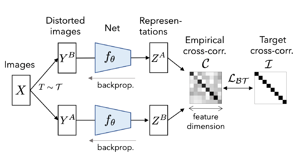 Barlow Twins Illustration