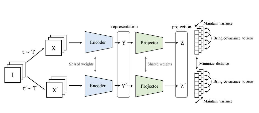 VICReg Twins Illustration